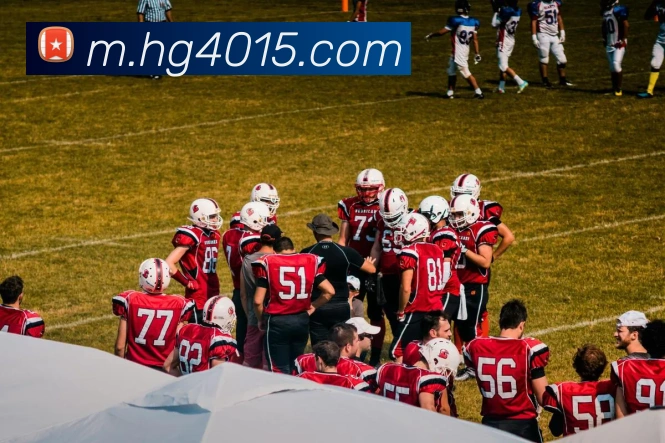 App 展示图